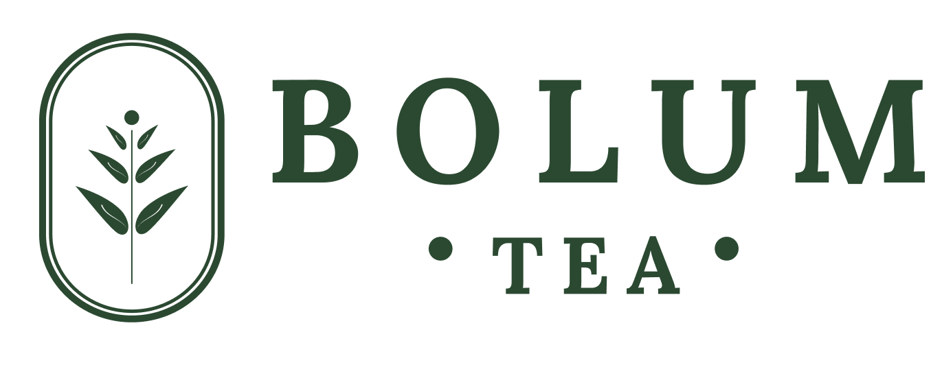 Bolum 